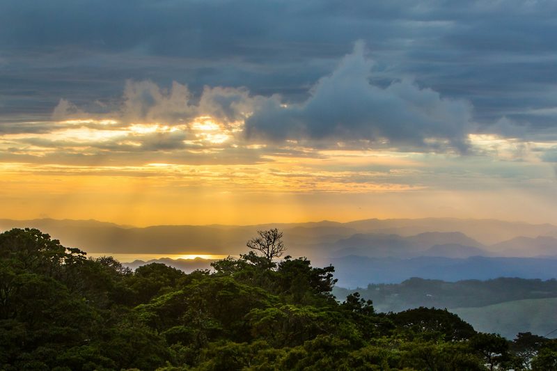 Aventura en la selva y vida salvaje — Costa Rica