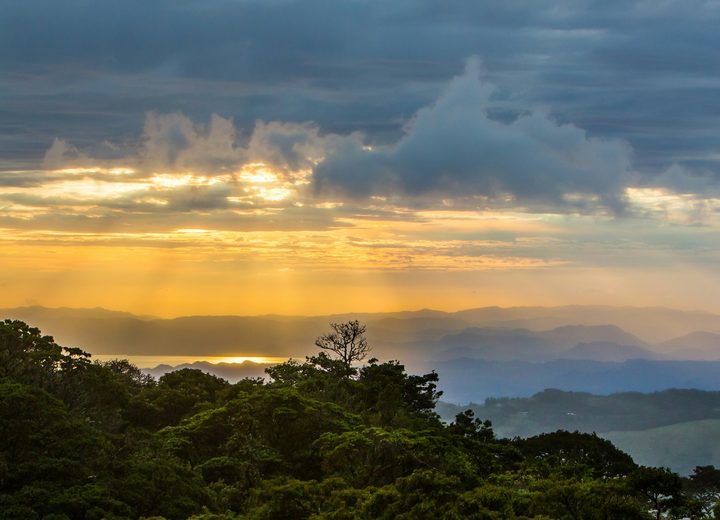 Aventura en la selva y vida salvaje