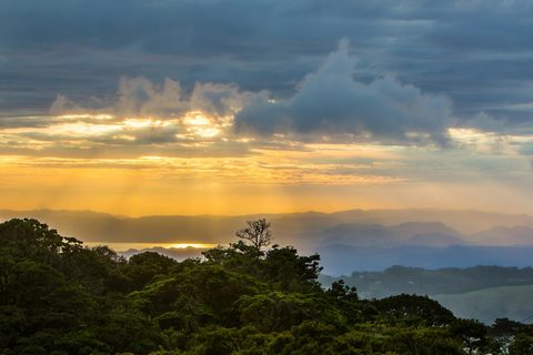 Aventura en la selva y vida salvaje