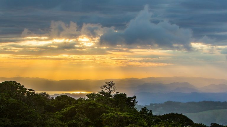 Rainforest & Wildlife Adventure