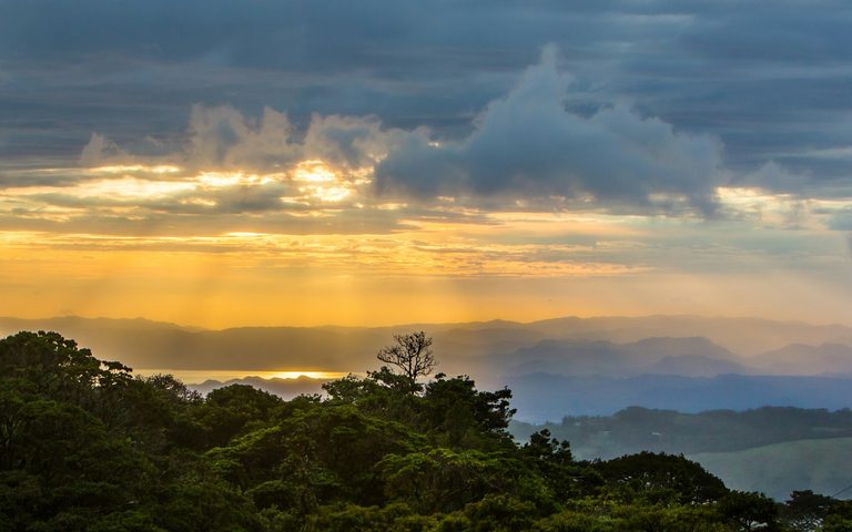 Aventura en la selva y vida salvaje