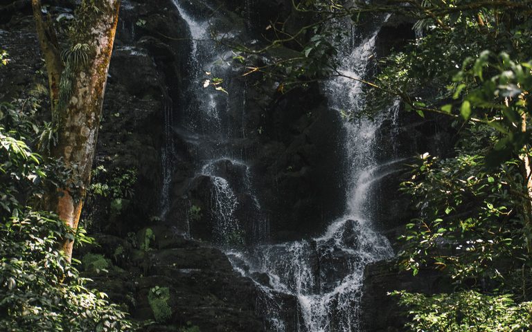 The Best Time to Visit Costa Rica — a Luxury Guide, Month by Month