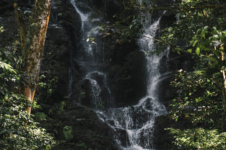 Costa Rica — luxury travel by Forest Travel