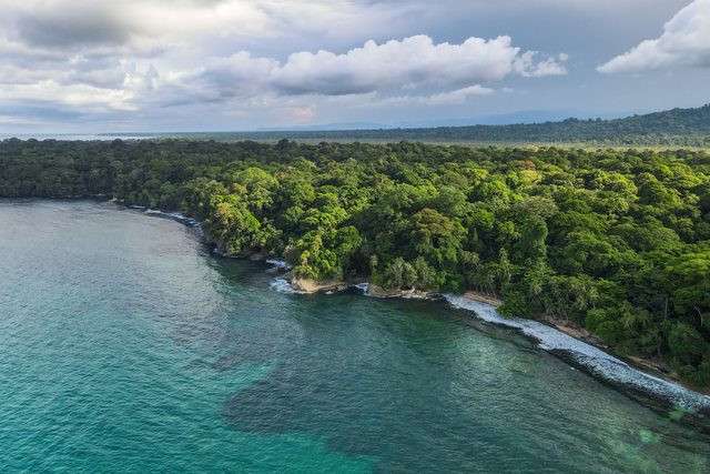 A guided day in Corcovado National Park
