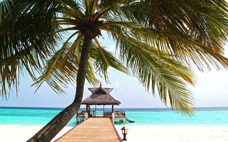 Christmas & New Year — luxury travel by Forest Travel