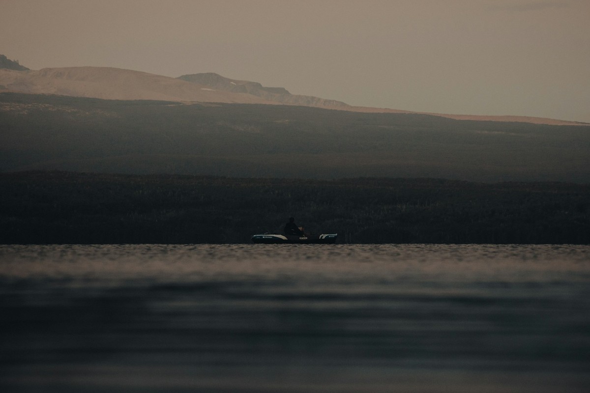 The Marine Wild