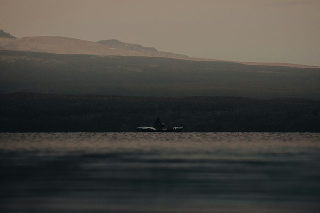 The Marine Wild