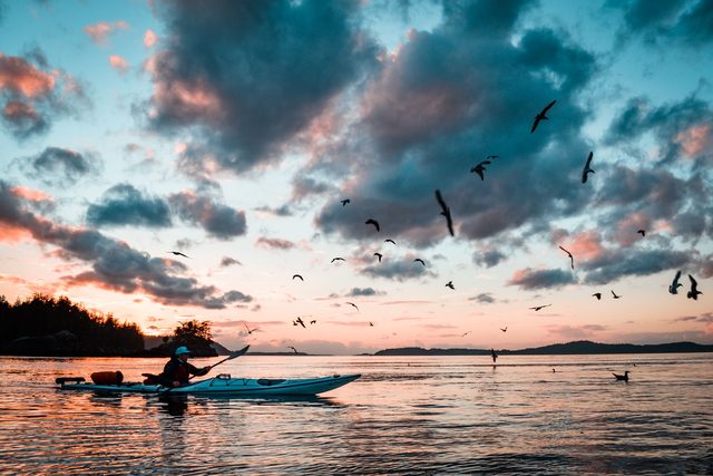 Golfo Dulce at dusk by kayak
