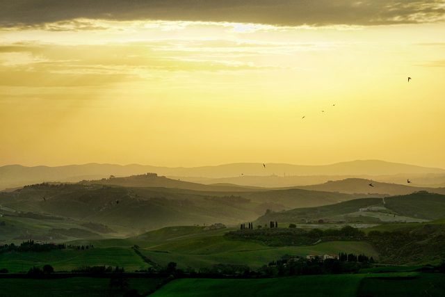 Truffle hunt at first light in Umbria