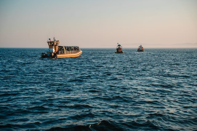 Ballenas en bote privado en el Pacífico sur