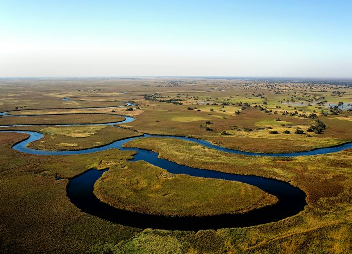 The Okavango Photographic Safari