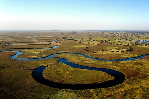 Safari fotográfico en el Okavango