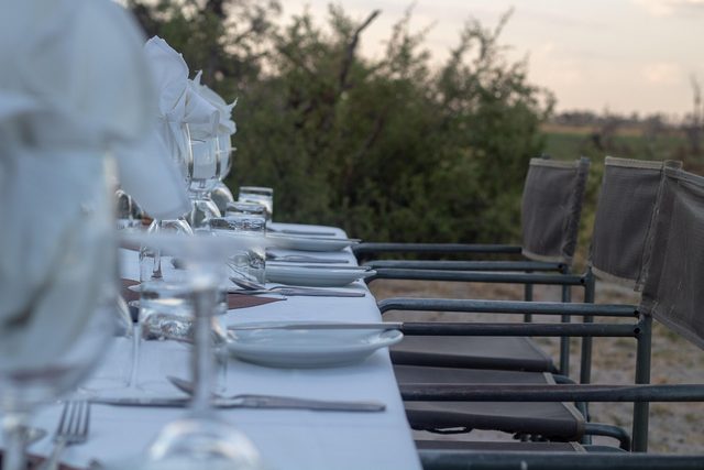 A bush dinner under the Milky Way