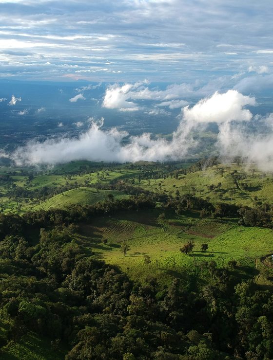 Monteverde