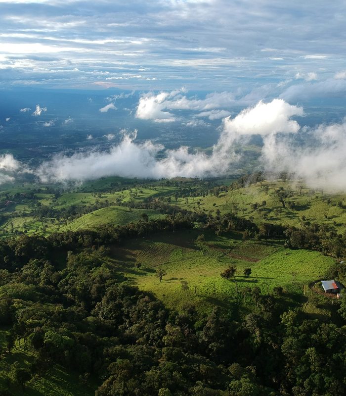 Monteverde — Bosque nuboso