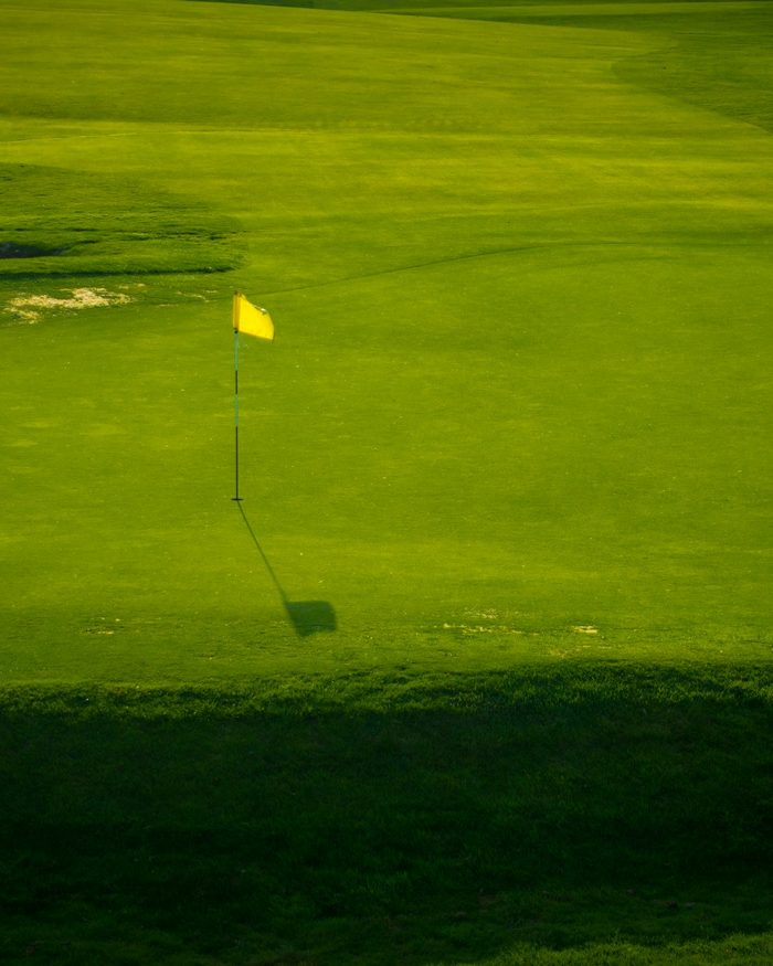 The Ryder Cup