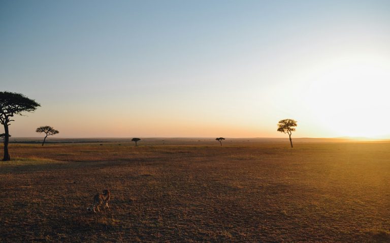 How Many Days Should a Luxury Safari Be? 4, 7, 10 and 14 Nights Compared