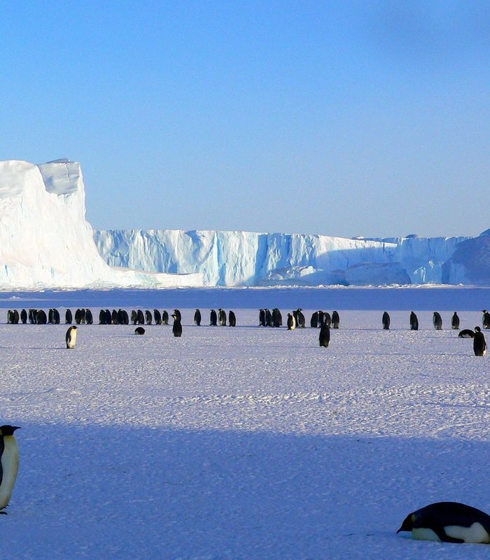 The Weddell Sea & Emperors — The Far Ice