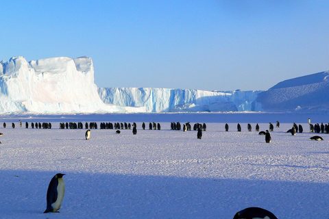 The Photographer's Far Ice