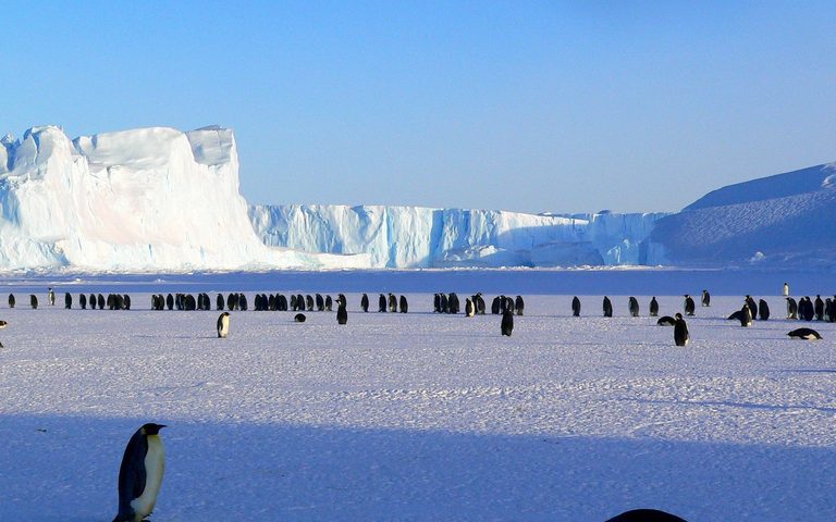 The Weddell Sea & Emperors — luxury travel by Forest Travel