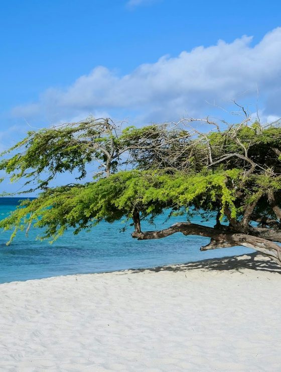 Aruba