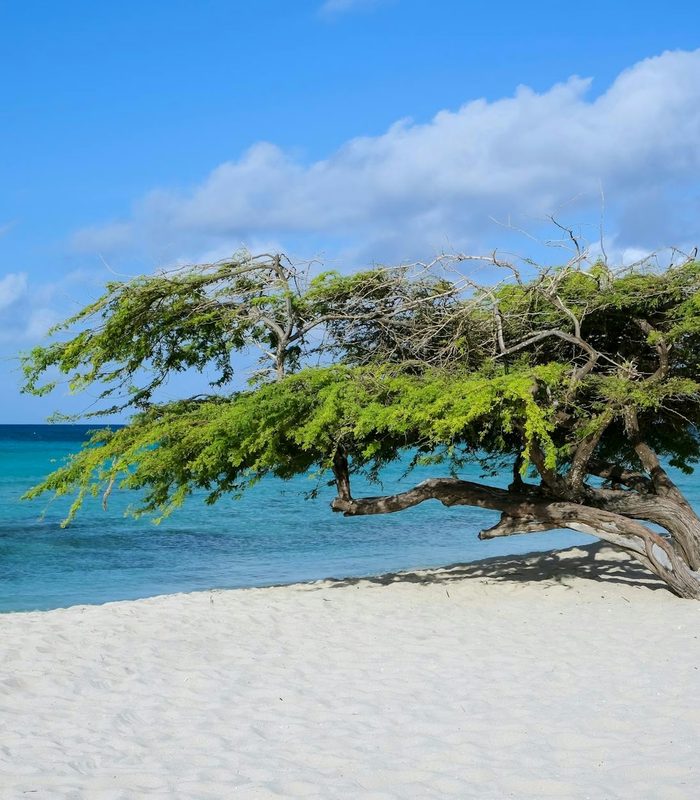 Aruba — Leeward Antilles