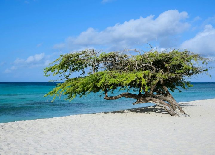 Aruba