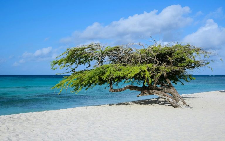 Aruba — luxury travel by Forest Travel