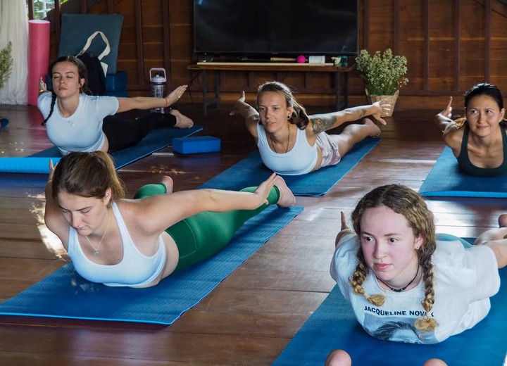 The Wellness Journey