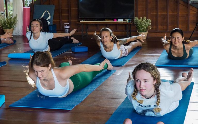 The Wellness Journey