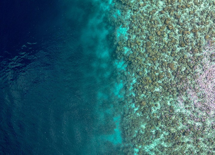 The Diver's Atolls