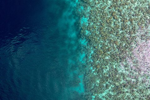 The Diver's Atolls
