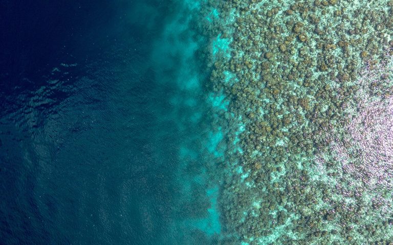 The Diver's Atolls
