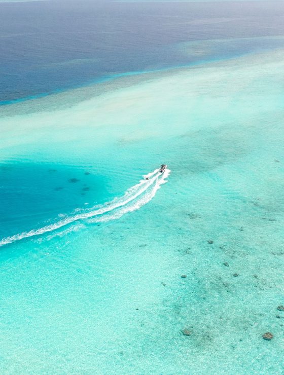 The Tuamotus