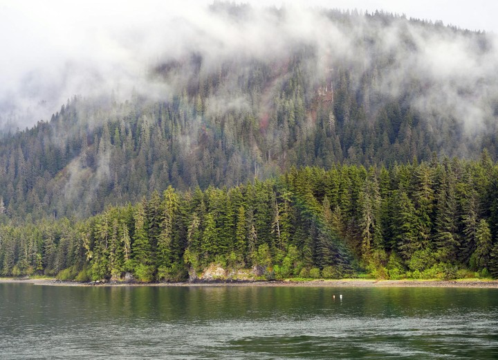 The Living Coast