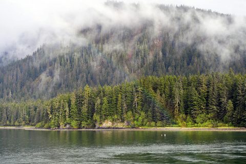 The Living Coast