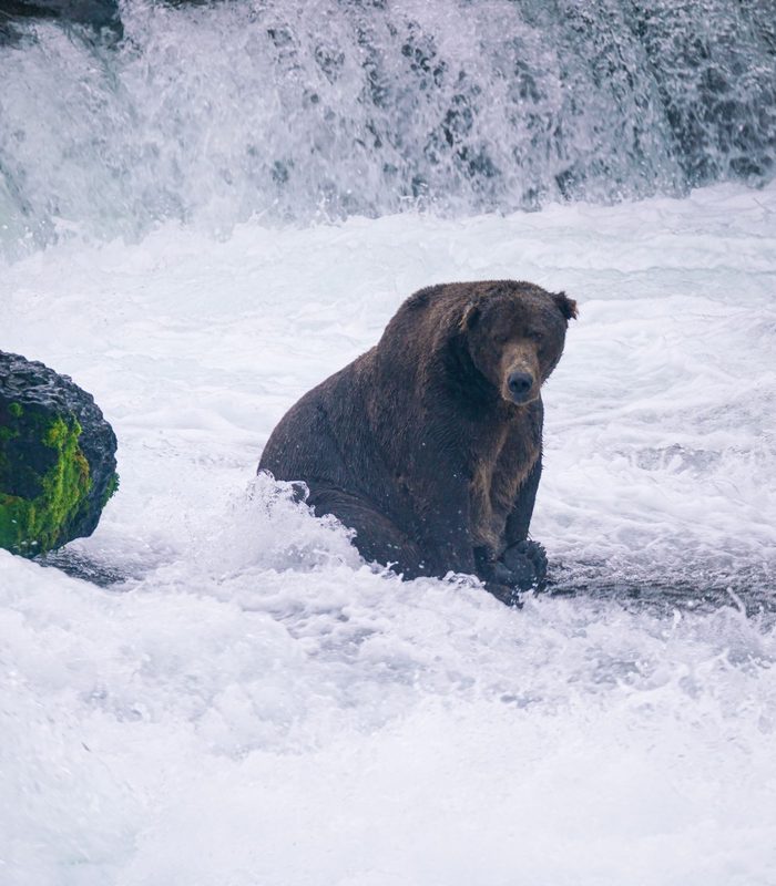 Katmai & Bear Country — Southwest Alaska