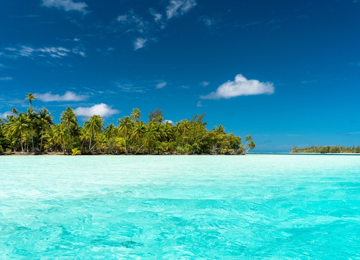 The Polynesian Table