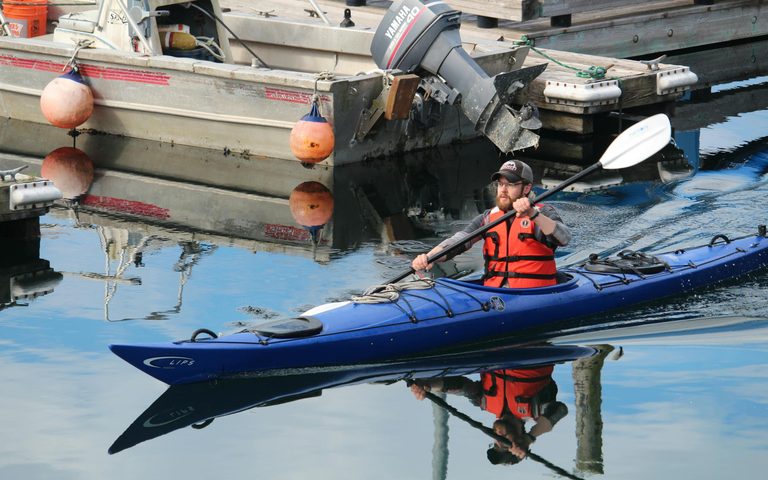 Kayak de mar y fauna salvaje