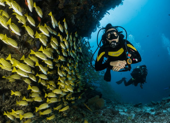 The Diving Atoll