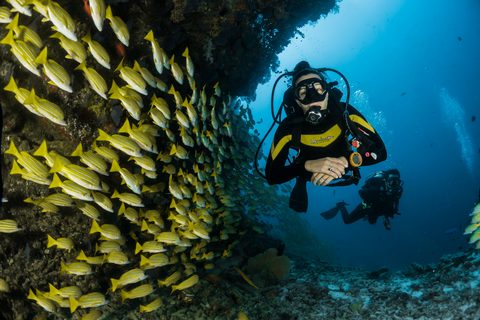 The Diving Atoll