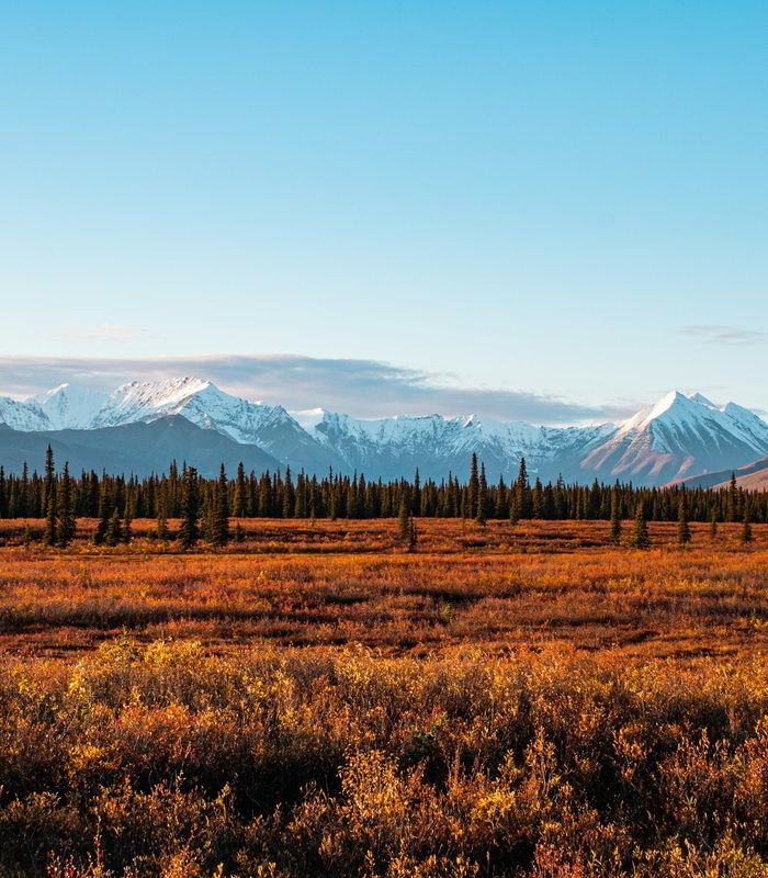 Denali & the Interior — Interior Alaska