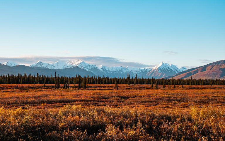 Denali & the Interior — luxury travel by Forest Travel