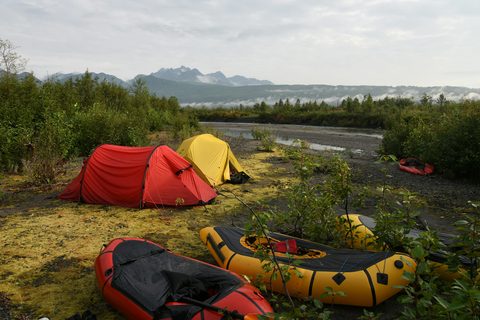 The Wilderness Bear Camp