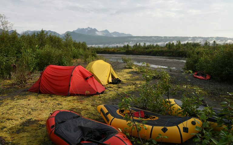 El campamento silvestre de osos
