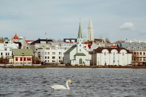 The Design Capital