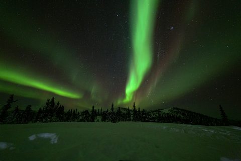 Aurora of the Interior
