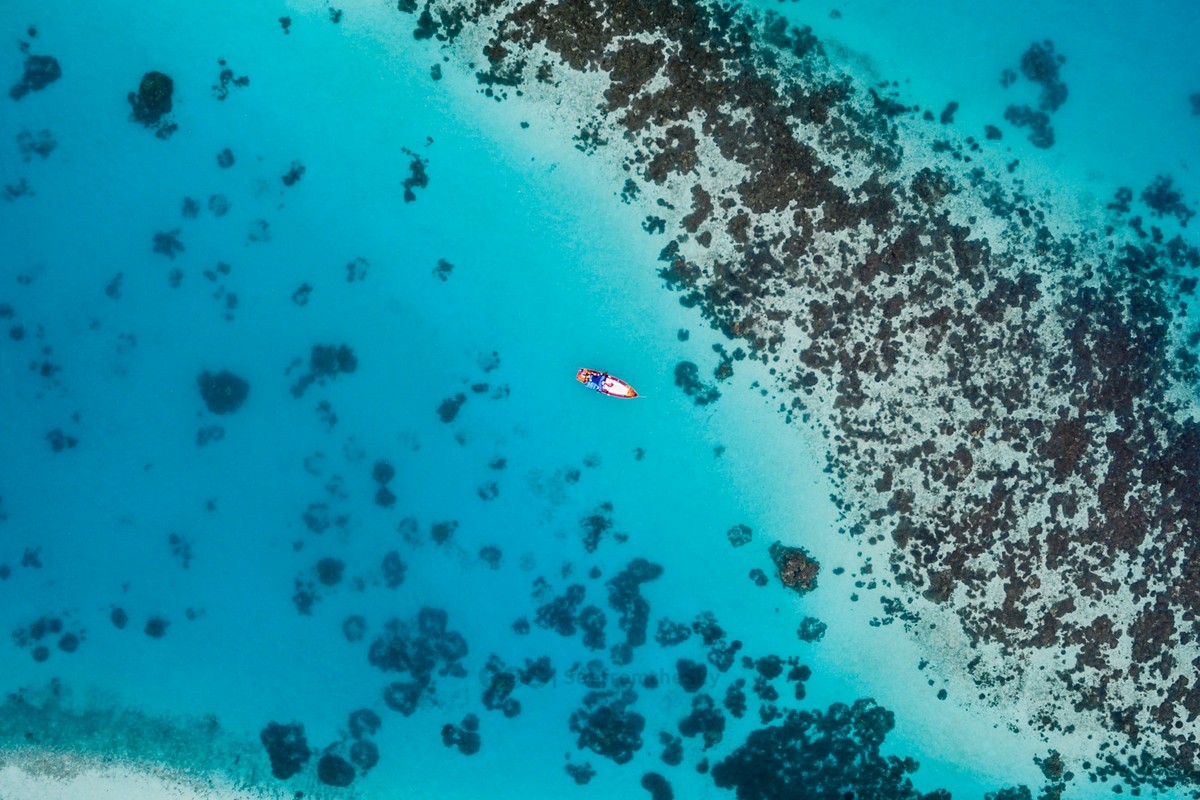 The House Reef at Dawn