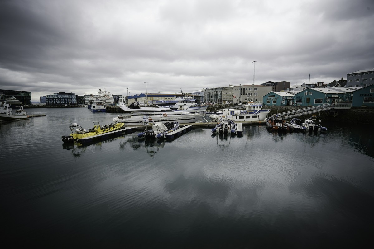 A Harbour-to-Table Dinner