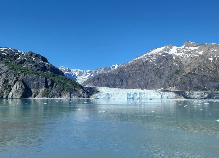 Glacier Bay & the Whales